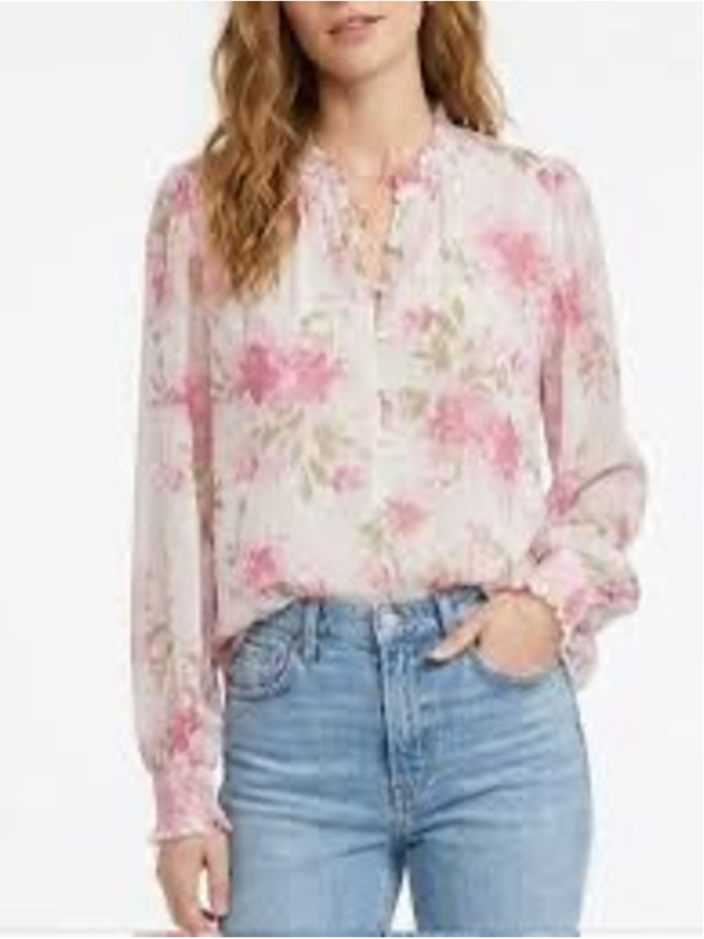 Anthropologie Autres Filles Floral Long Sleeve Chiffon Blouse Womens 1X Feminine